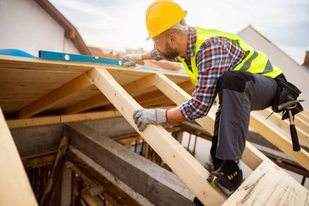 Best Roof Gutter Cleaning  in Port Royal, SC
